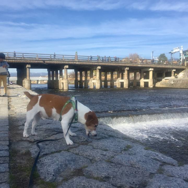 99418fa8 f2d3 4178 ac7b ebe5e2ff4c7b