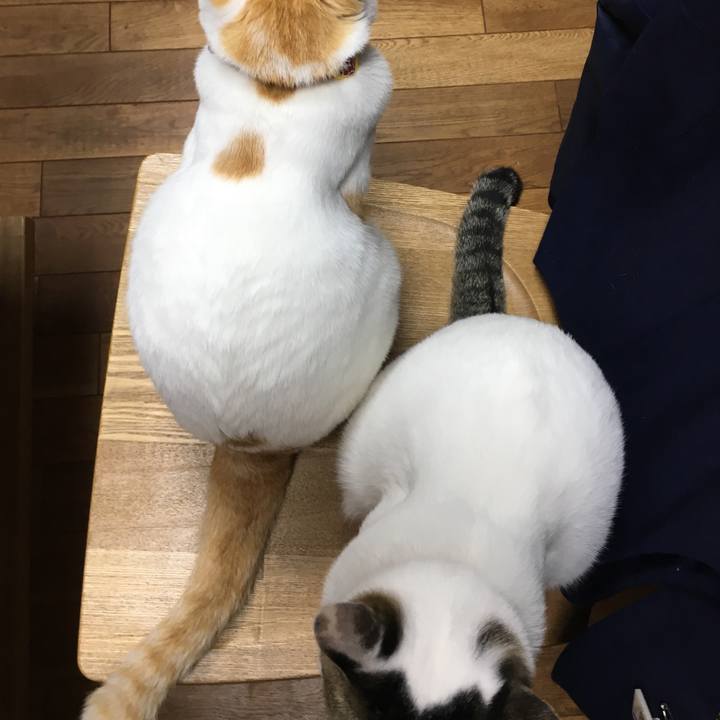 9941bba7 a0bc 4cad 9081 2ab043c77ee6