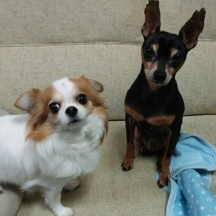 9941dcd3 7545 44d6 af72 33f2a21a37c0