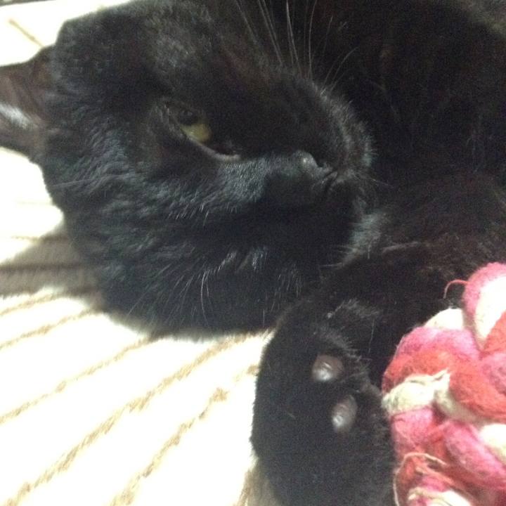 9941dd2c 8de1 421c 8783 c88f2732a44c