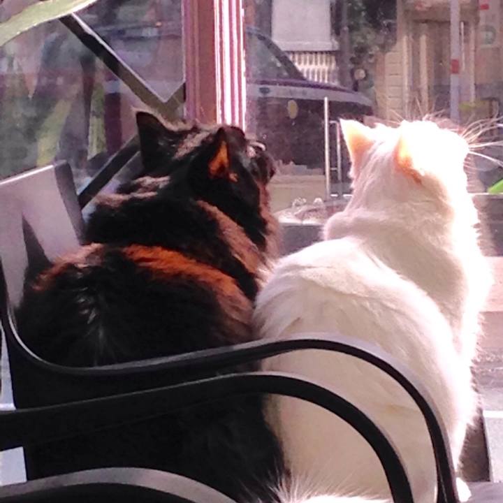 994288b1 3f81 4677 9524 842558ae88e5