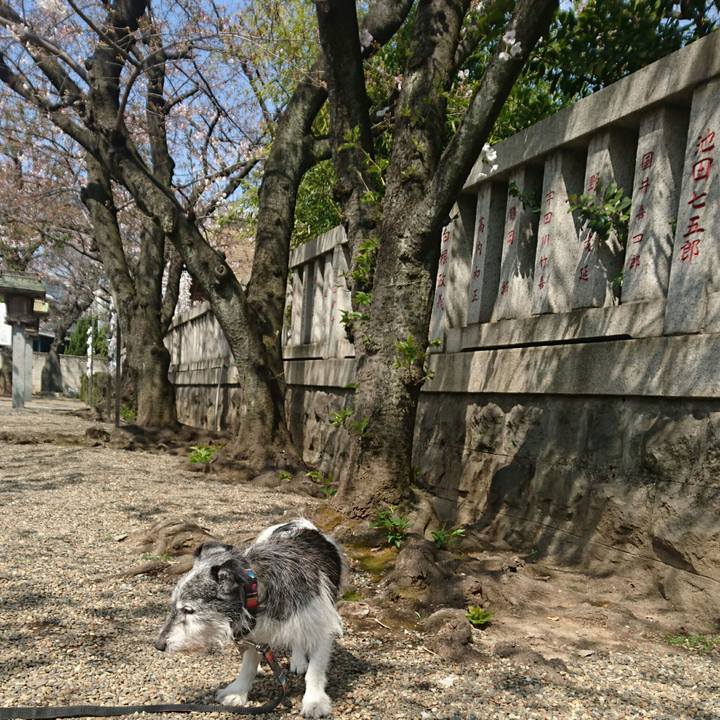 99438d03 5a36 4bd5 8bb0 7aa664e7d800