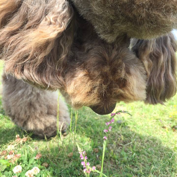 99441494 3441 4801 b4ba 31037cc4c1c2