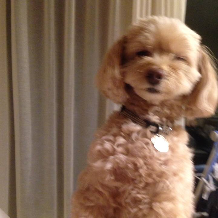 994416a1 d1c7 4c65 b65e 9838ea873433