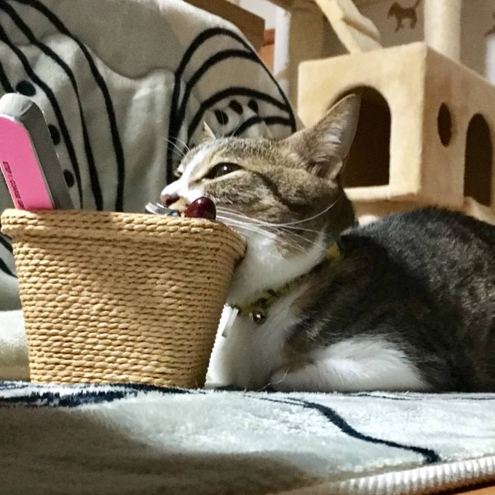 99443785 8086 43b2 a4ef d70857d28d7d