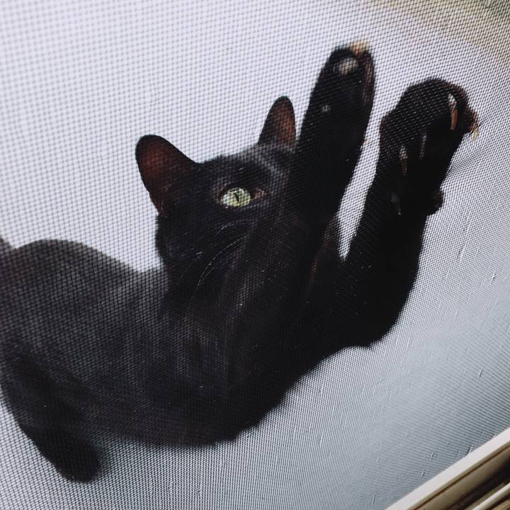 99445101 ade8 47fb 90ea 46026b918eaf