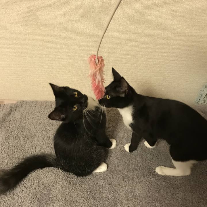 994458c6 6973 4848 9089 2030b1de1b76