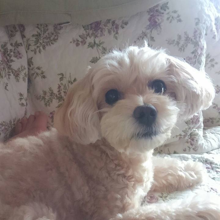 9944b83d a97b 41eb 88df c752231aae3c