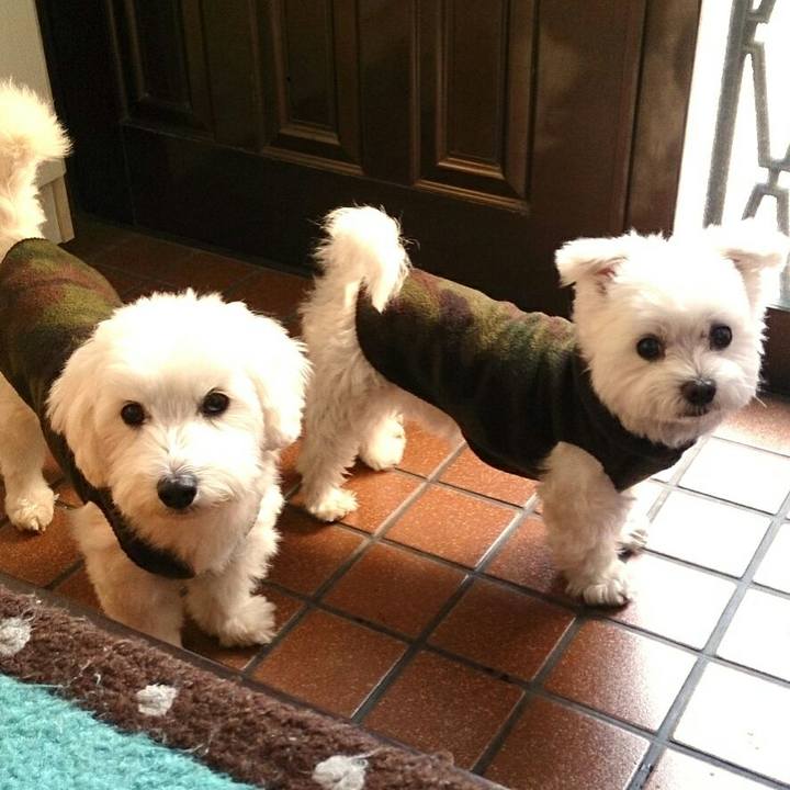 9944bd54 fdc0 4622 ab64 c83122201603