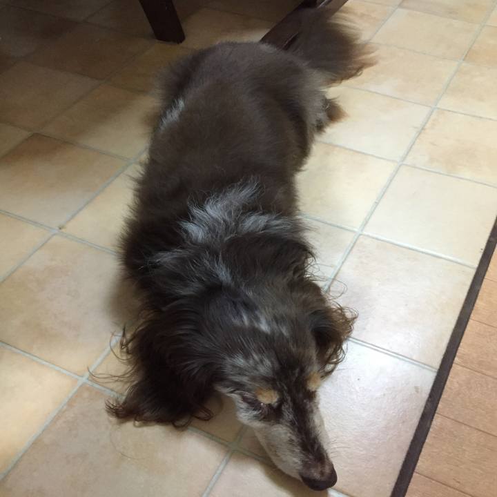 99453515 b04d 4926 9c40 0fb5ff66fe0a