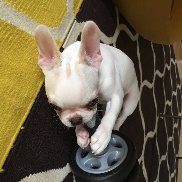 99465254 8486 4429 a487 b14bf4799f51