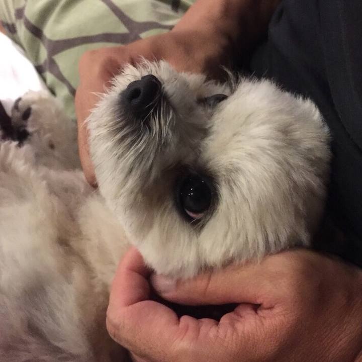 9946a2cf 1ac9 4288 8ab7 233eb8e9a43d