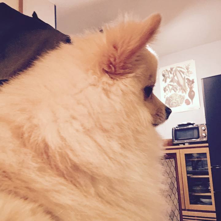 994775de 1c01 4e1b a387 3def09817c55