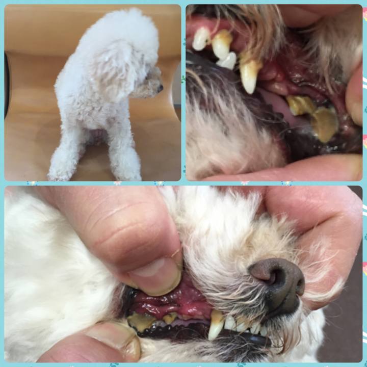 9947eeb7 7045 41cd 87fb 8645792c14bd