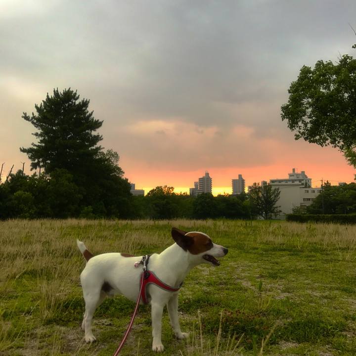 99480aa9 b0e8 4ba1 ad24 3372f7b55ef9