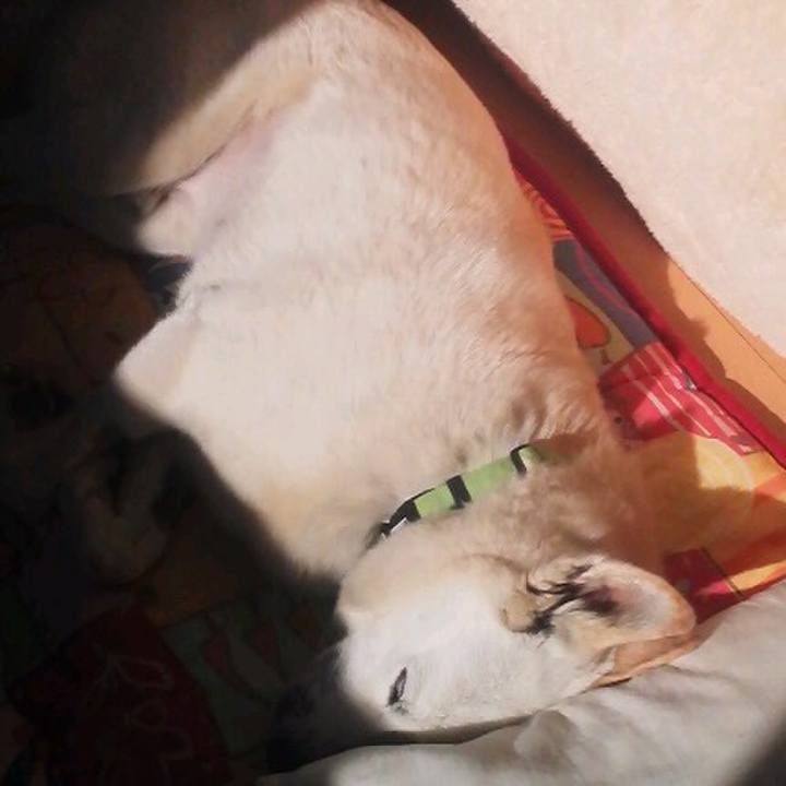 9948a8b5 1282 4798 a5d7 b65d9fcd902a