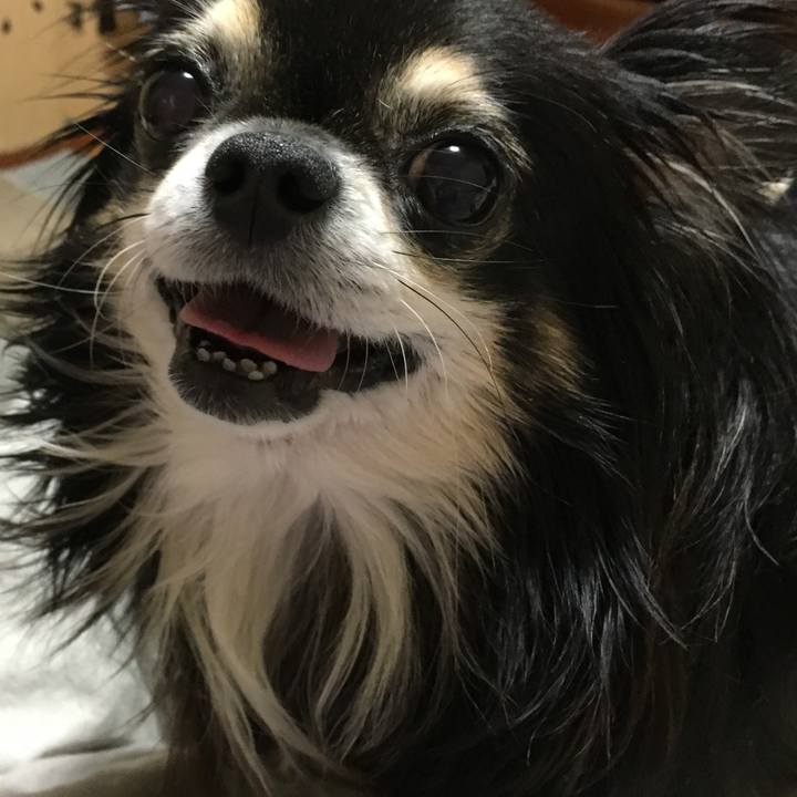 9948c36f a8c5 4f41 aa1f 68a4f86929ee