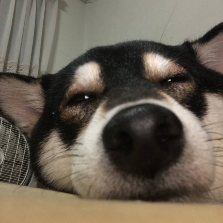 9948e83f c8b2 40e9 b852 3de63f27beb7