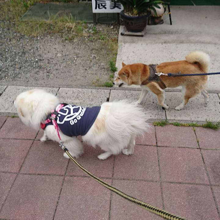 9948f9fd 5d5a 4c47 b18e 9539b7a79017