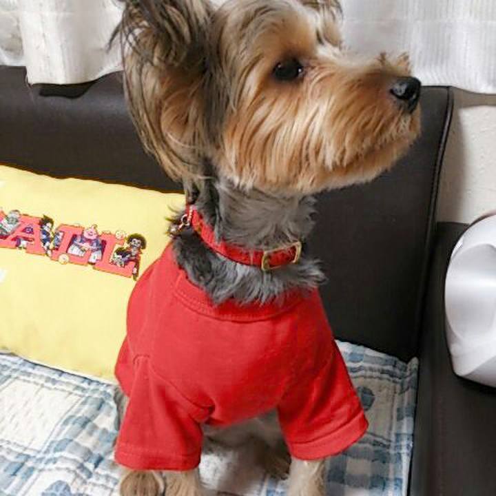 9949b4b9 2238 4d32 96af ab35e5c2778a