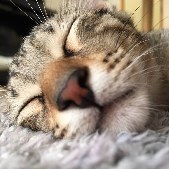 9949c98d 4b23 4618 98b4 b1603381d659