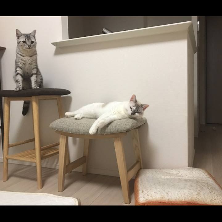 9949d75a 401a 4ae1 866a 1dcab936873e