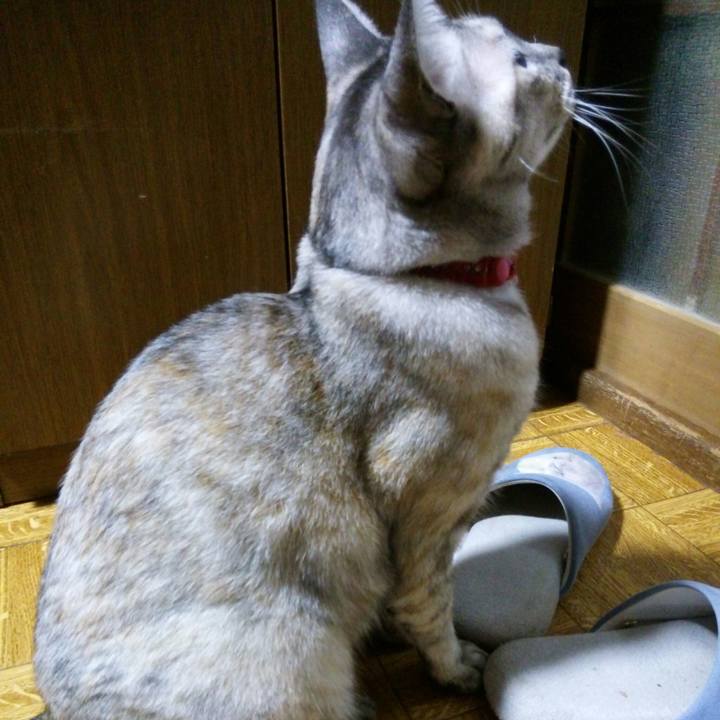 994a202f 3586 46f9 a011 a10e499c3199