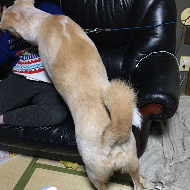 994a8f4c bfea 4d16 84e4 08aee4c6ba26