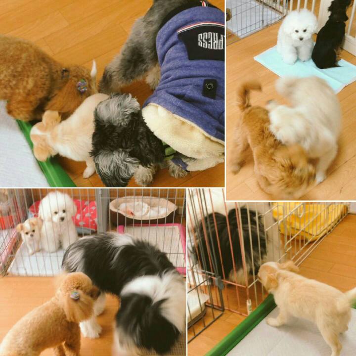 994c5103 840b 4278 8f2a 520efa790d07