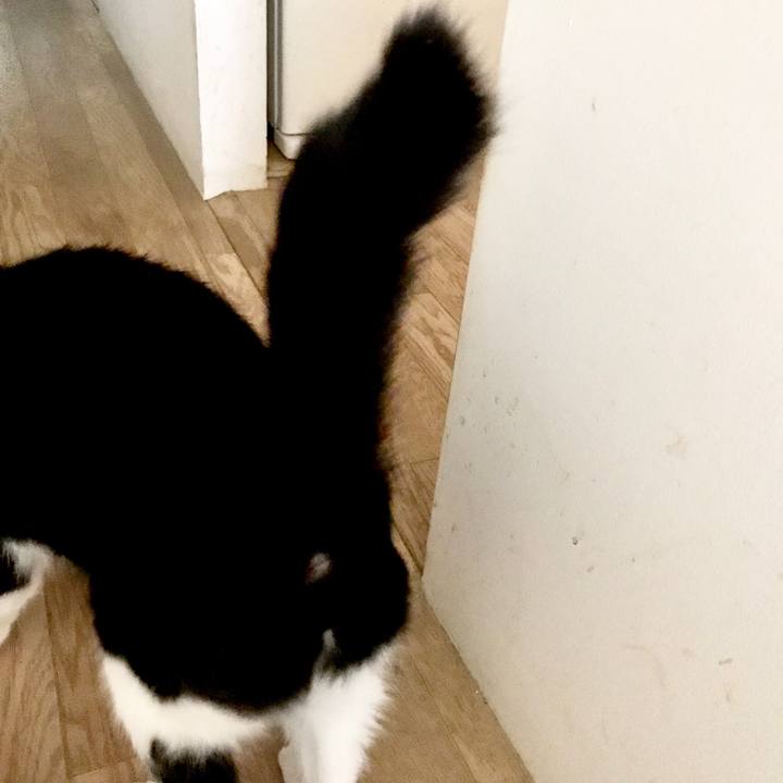 994c8103 66cd 448a 84e2 aae7857c7543