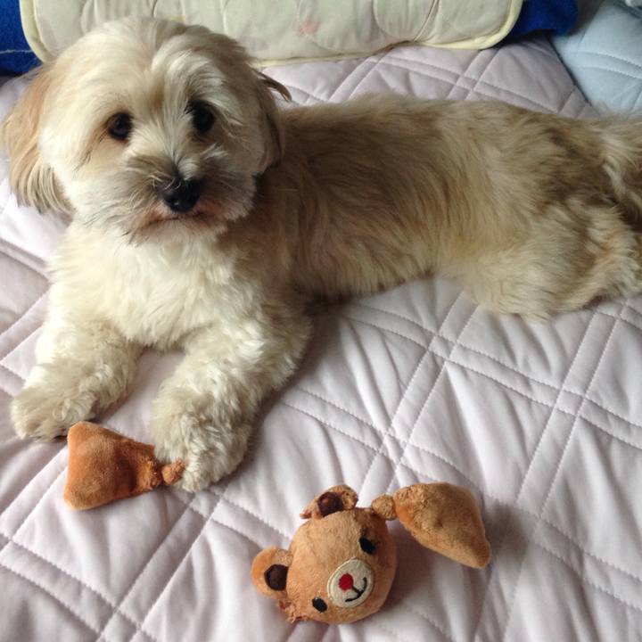 994e8a93 3206 4186 ab39 dbf27fad9e28