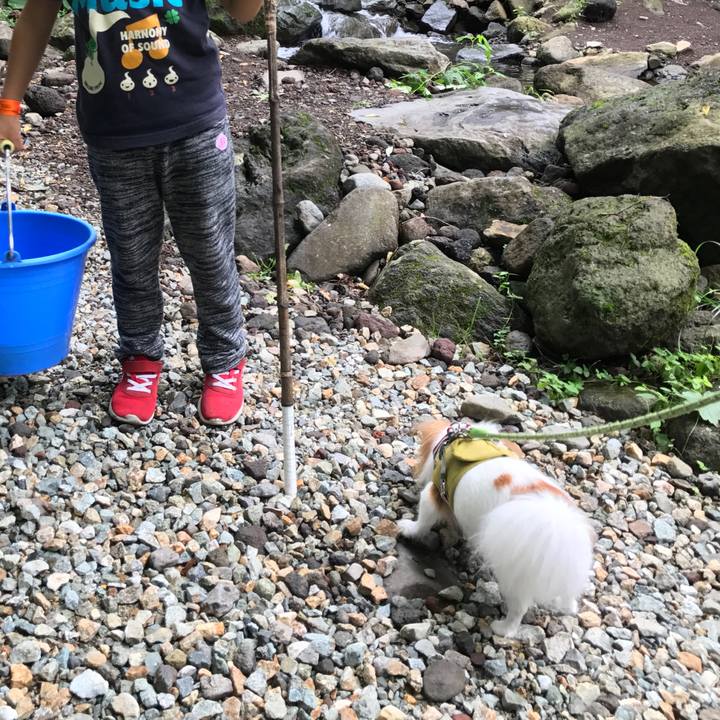 994ea3c1 c26f 4be8 a4bd ec821e699499