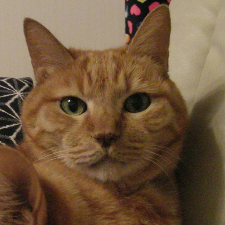 994fa725 ad26 492f b2c8 8d2eb5a751bf