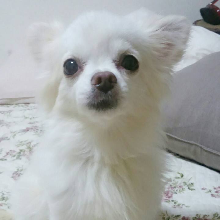 995016b7 1551 4bee 995e 4ad0d57e747d