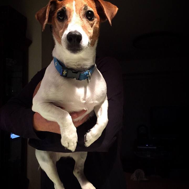 99501fc8 1700 4297 bfbb 9556bae6878f