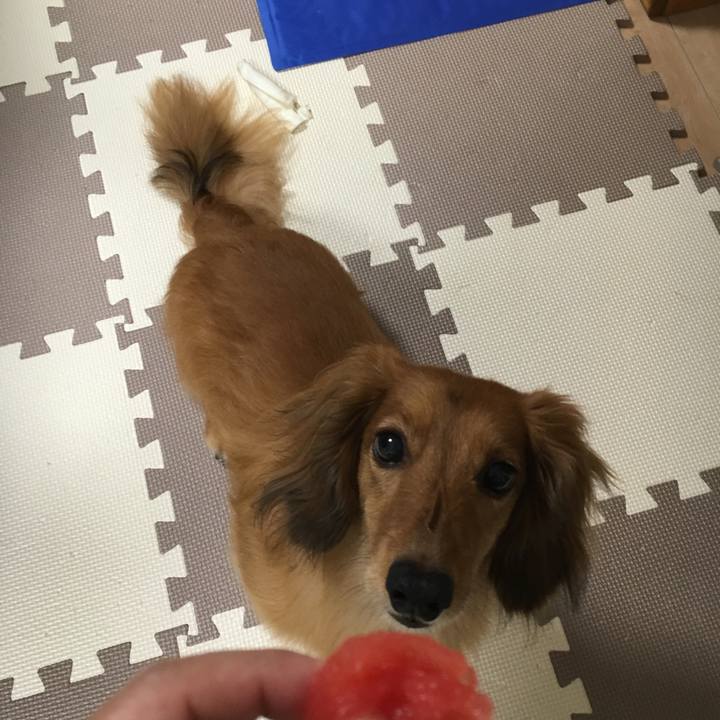 99505142 ba71 40b4 847b 81bb71dfdfb2