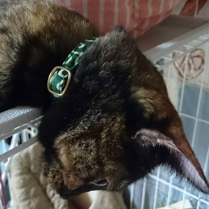 99505249 e41a 4724 bf9d 778f810bc4df