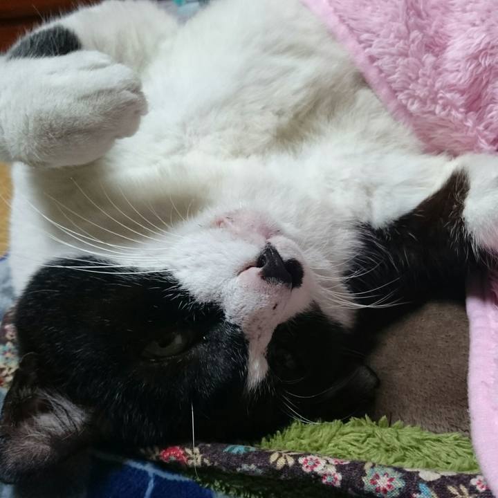 9950fd3b 290d 4097 a6bd 8cc9d83d95a3