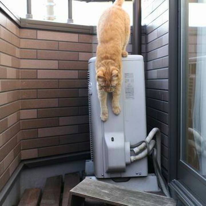 9951beec fc7a 44a2 b362 866a0a80b307