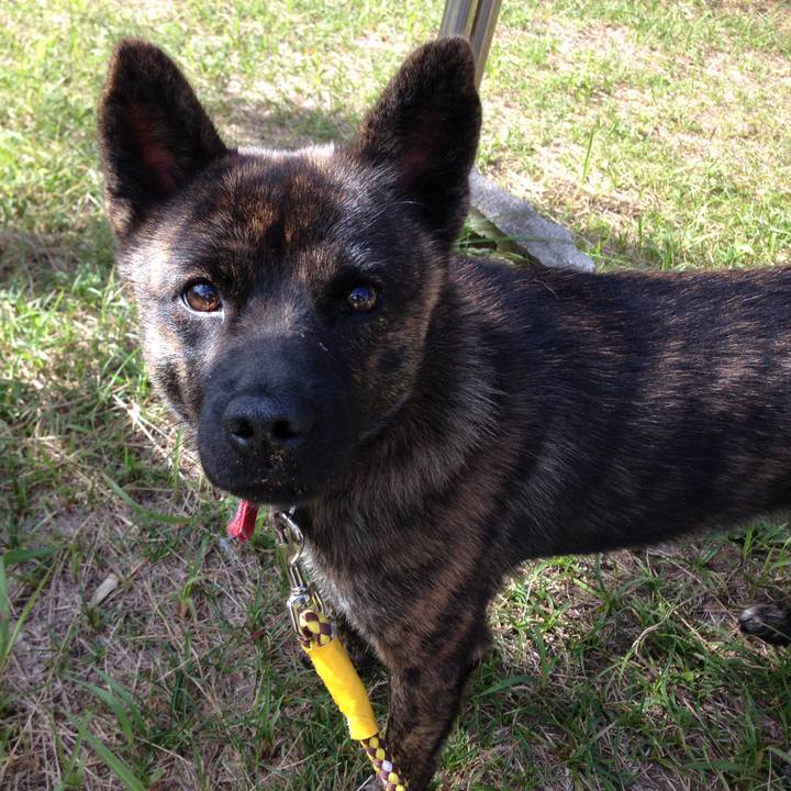 99524adb 76bc 4e29 80b6 8d8749b29ed9