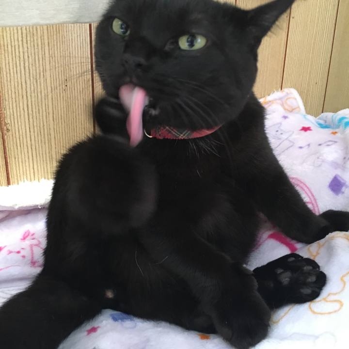 99534433 d141 4f98 94dc 1006b2e34280