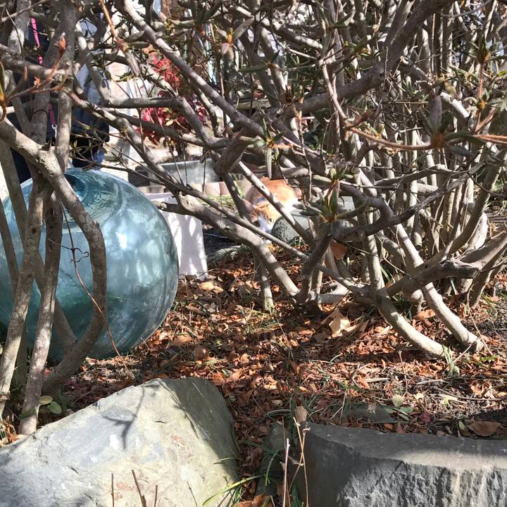 9953e15f bb88 4dcb 8950 37da8b38cc71