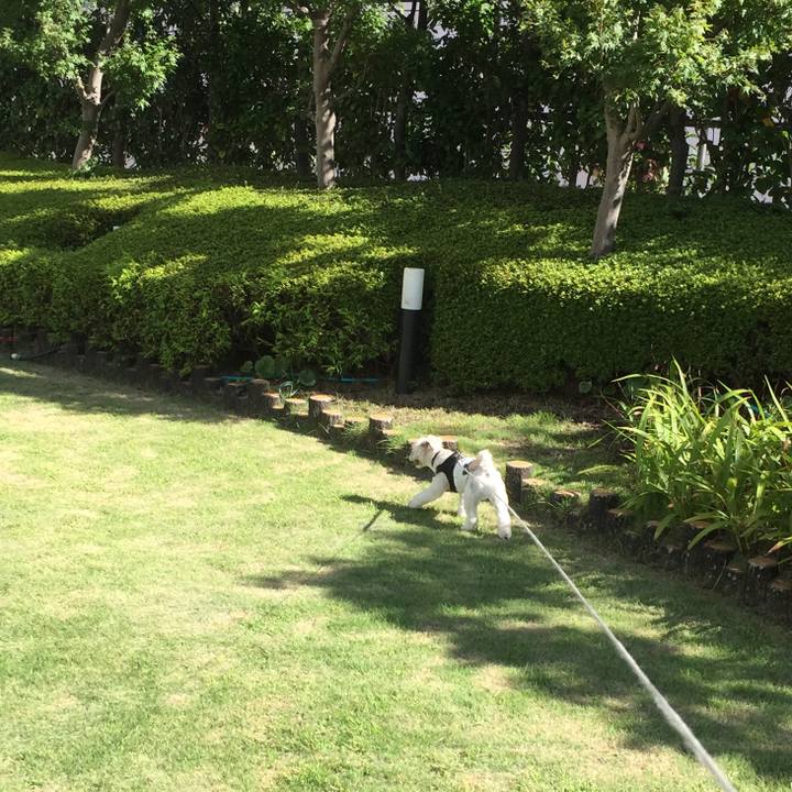 9954cf5f 1d1c 4ee2 a814 37647dc69510