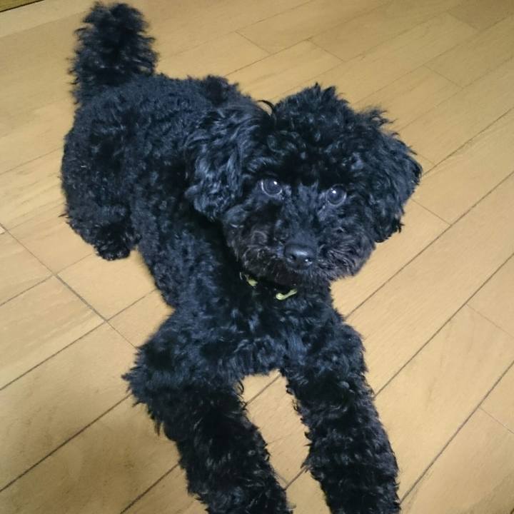 9956a51d 009f 474c be21 c3a9df0a032e