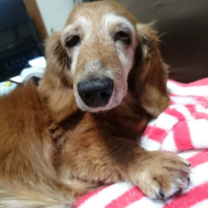 9956af37 9592 459c 8300 ec1a94a28c73