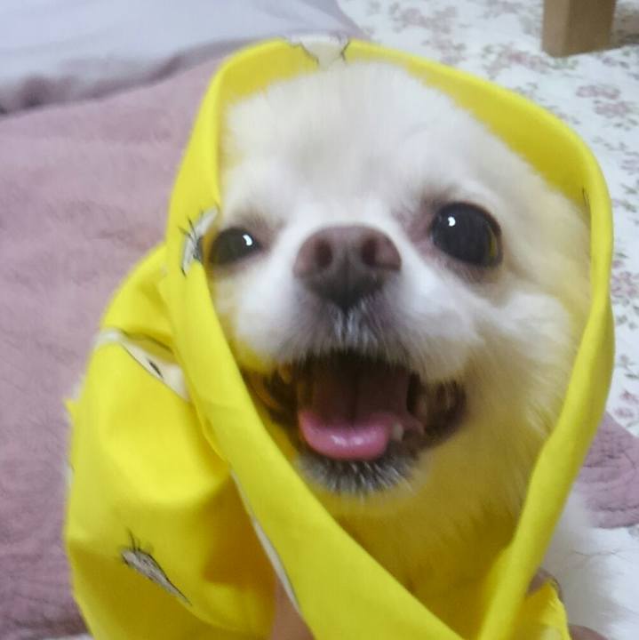 99571cd6 c87c 407f aee0 ac5964fe97dc