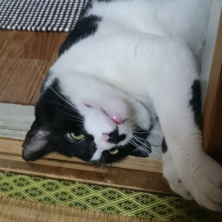 99580236 b762 4f23 9322 7a0916e1dbfa