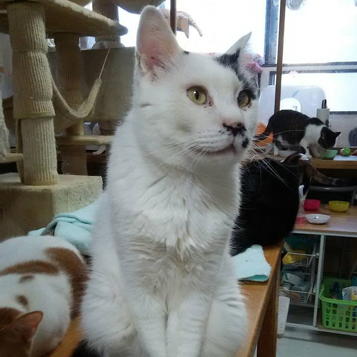 9958eb64 3227 474b ad3a 35ab2cf53200