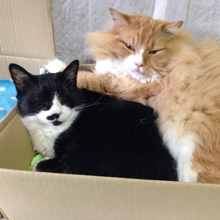 9958f7ef 187a 4ced 8295 0bd6370d6bd9