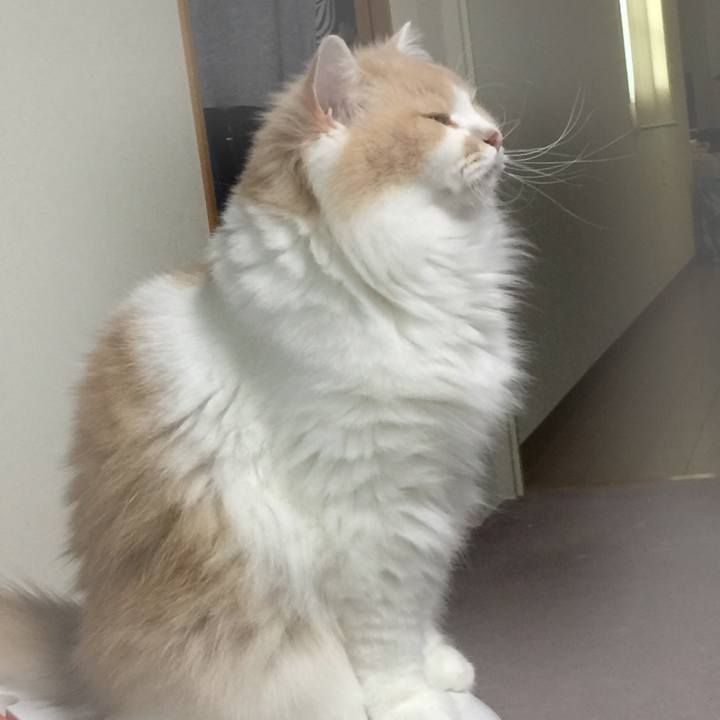 9958f909 2ef9 41f3 a835 be067e3c9021